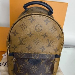 Louis Vuitton Palm Springs Mini Backpack